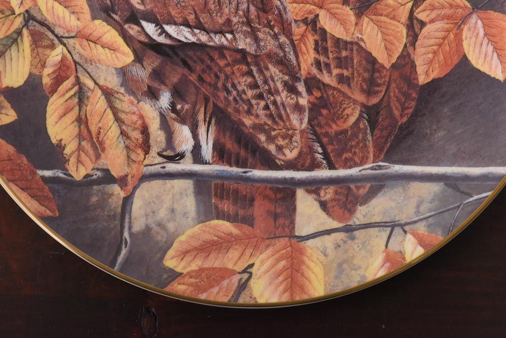未使用品　ROYAL DOULTON(ロイヤルドルトン)　BRITISH OWLS　プレート(皿、洋食器)