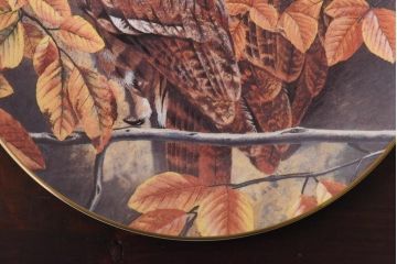 未使用品　ROYAL DOULTON(ロイヤルドルトン)　BRITISH OWLS　プレート(皿、洋食器)