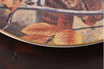 未使用品　ROYAL DOULTON(ロイヤルドルトン)　BRITISH OWLS　プレート(皿、洋食器)