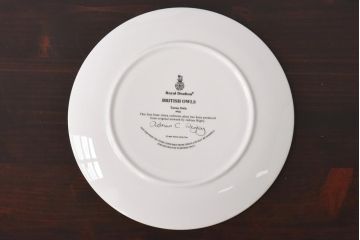 未使用品　ROYAL DOULTON(ロイヤルドルトン)　BRITISH OWLS　プレート(皿、洋食器)