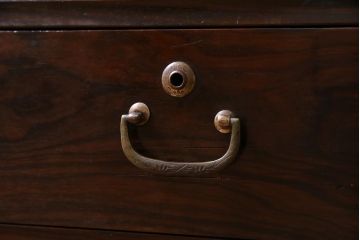 アンティーク家具　和製アンティーク　脚付きリメイク　黒檀　結霜ガラス入り　品の良いモダンなテレビボード(リビングボード)
