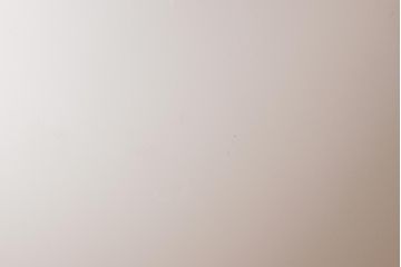 和製アンティーク　戦前　花型の銅金具が付いたペンダントライト(天井照明、シェード、電笠)