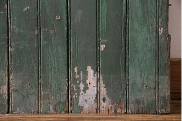 ジャンク品 フランスアンティーク 両開き くすんだグリーンのペイントガーデンドア一対(親子ドア、木製ドア、ゲート、扉)