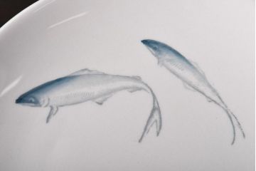 昭和初期　東洋陶器(東陶、トートー)　涼しげな鮎の図柄が風情あふれる小皿7枚セット(和食器)