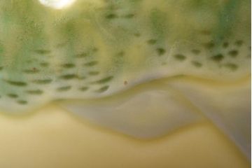 アンティーク雑貨　大正昭和初期　箱付き　平戸華窯　富士の図　淡い黄色が優しげな花瓶