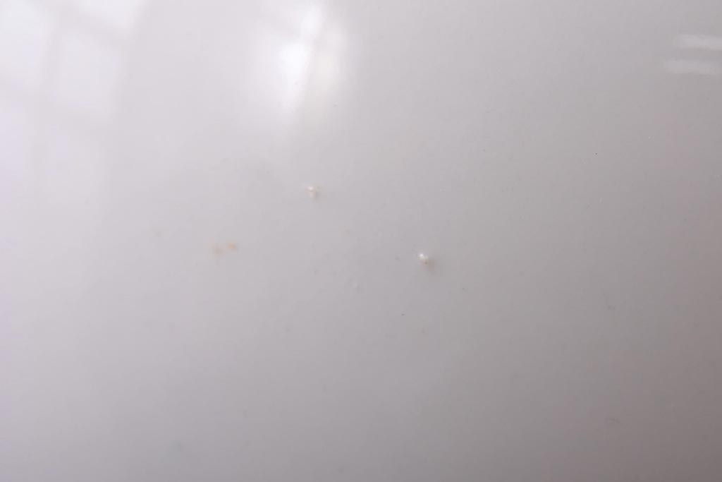 オールドメイトー(名陶硬質磁器・名古屋製陶所)　モダンなデザインが目を惹くティーポット(急須)