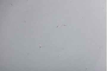 古民具・骨董　龍の図　色絵　独特な絵柄の蓋付き茶碗2客セット(和食器)