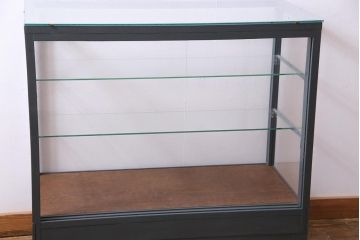 ペイント家具　メンズライクな雰囲気のガラスケース(ショーケース、飾り棚、陳列棚)