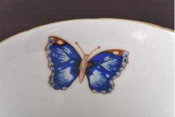 中古　AYNSLEY(エインズレイ)　コテージガーデン　色彩豊かなカップ&ソーサー2客セット