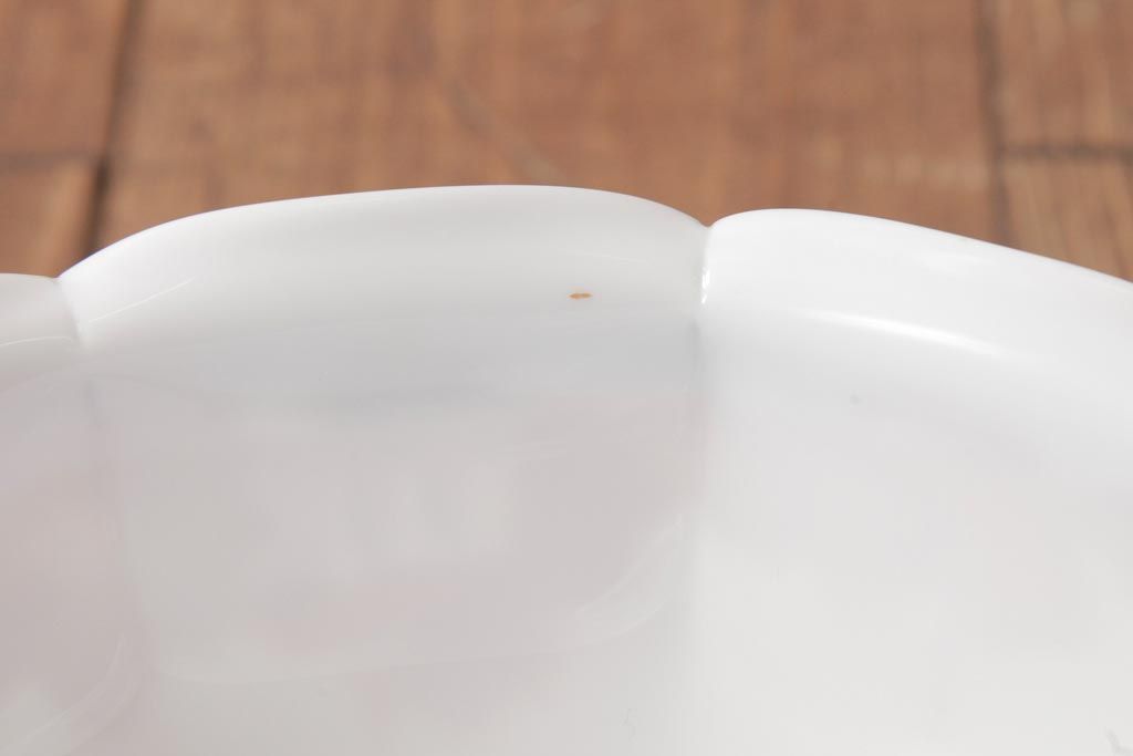 フランスアンティーク　湖のほとりが描かれた絵画のようなペンダントライト(天井照明)