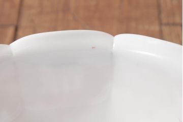 フランスアンティーク　湖のほとりが描かれた絵画のようなペンダントライト(天井照明)