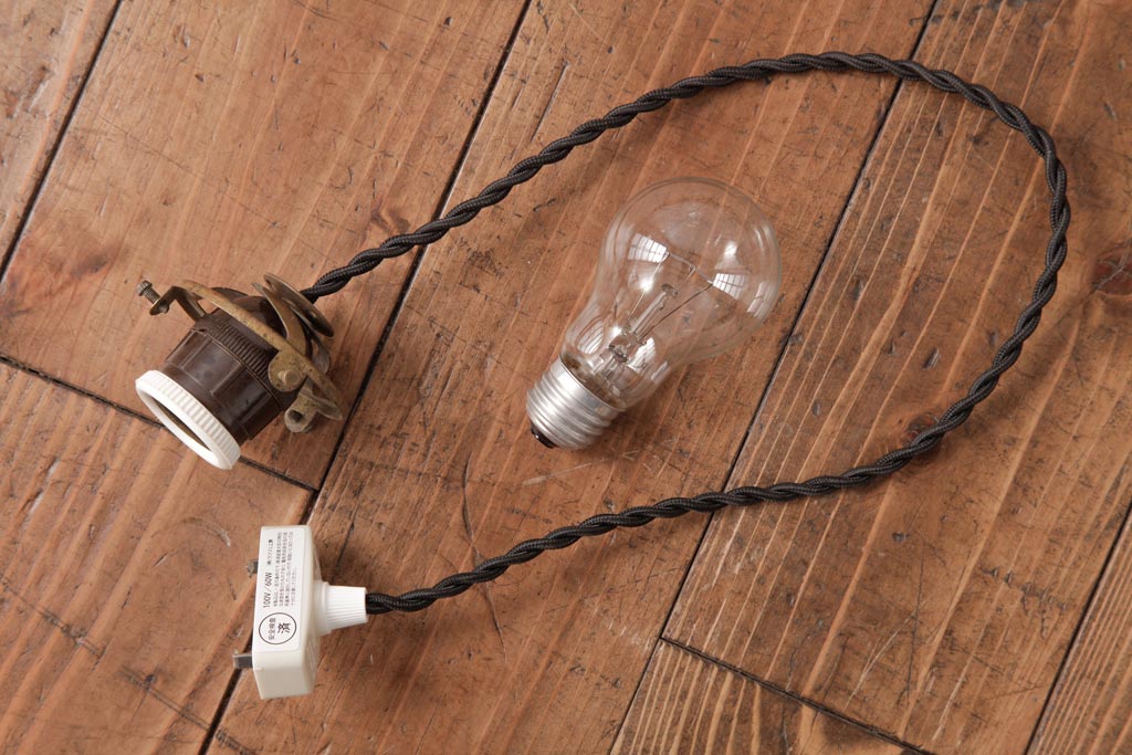 フランスアンティーク　湖のほとりが描かれた絵画のようなペンダントライト(天井照明)