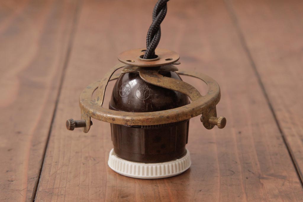 フランスアンティーク　湖のほとりが描かれた絵画のようなペンダントライト(天井照明)