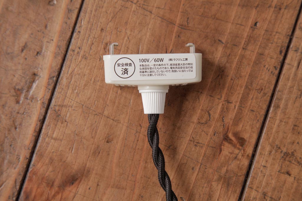 フランスアンティーク　湖のほとりが描かれた絵画のようなペンダントライト(天井照明)