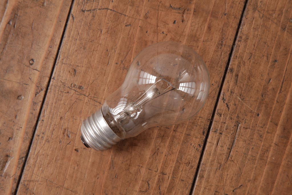 フランスアンティーク　湖のほとりが描かれた絵画のようなペンダントライト(天井照明)