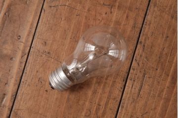 フランスアンティーク　湖のほとりが描かれた絵画のようなペンダントライト(天井照明)