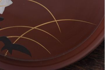 昭和初期　桔梗図　しっとりとした光沢が魅力的な木製皿5枚セット(漆器、和食器)(1)