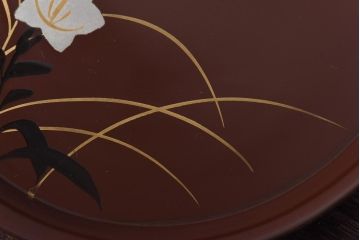 昭和初期　桔梗図　しっとりとした光沢が魅力的な木製皿5枚セット(漆器、和食器)(2)