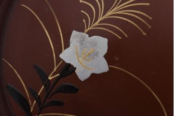 昭和初期　桔梗図　しっとりとした光沢が魅力的な木製皿5枚セット(漆器、和食器)(2)