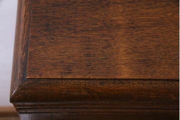 アンティーク家具　イギリスアンティーク　オーク材　レリーフやバルボスレッグがおしゃれなブックケース(ガラスケース、飾り棚)