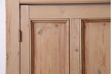 フランスアンティーク　素朴で温かな風合いの枠付き木製ドア(ディスプレイ、扉)