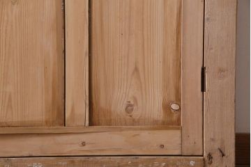 フランスアンティーク　素朴で温かな風合いの枠付き木製ドア(ディスプレイ、扉)