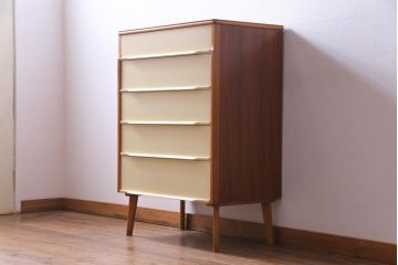 北欧ビンテージ　ペイント家具　チーク材　レトロな雰囲気が可愛らしいチェスト(引き出し)