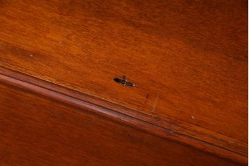 中古　イタリア家具　マホガニー材　リメイクを施した高級感漂うキャビネット(飾り棚)