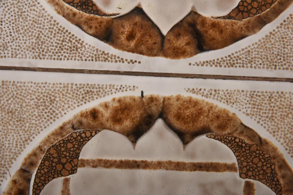 ヴィンテージ家具　北欧ビンテージ　G-PLAN(ジープラン)　チーク材　温もり溢れるタイルトップのコーヒーテーブル(センターテーブル)