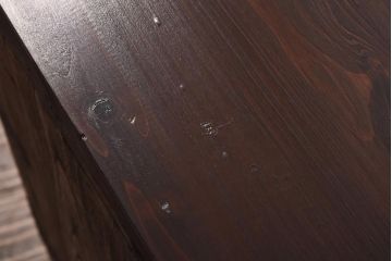 アンティーク家具　和製アンティーク　総桐材　無骨な金具が貫録を感じさせる観音開き戸のリメイクテレビボード(箪笥ローボード、リビングボード、桐箪笥、桐たんす)