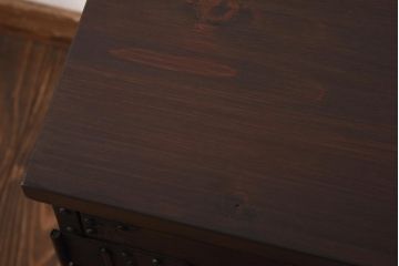 アンティーク家具　和製アンティーク　総桐材　無骨な金具が貫録を感じさせる観音開き戸のリメイクテレビボード(箪笥ローボード、リビングボード、桐箪笥、桐たんす)