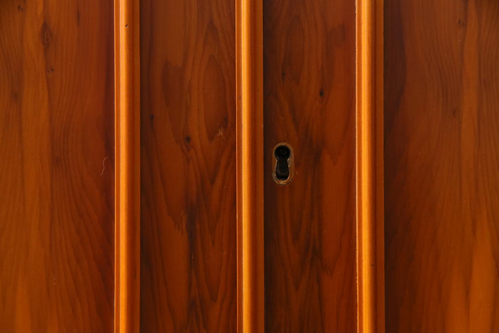 中古　イギリス輸入家具　エドワーディアン様式　存在感のある4枚扉のブックケース(キャビネット、飾り棚、本箱)