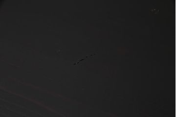 アンティーク家具　明治期　鉄脚リメイク　インダストリアルな雰囲気漂う箪笥ローボード(リビングボード、チェスト)です。