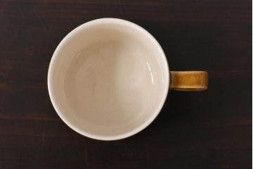 イギリスビンテージ　HORNSEA(ホーンジー)　BRONTE(ブロンテ)シリーズ　トリオ2客セット(カップ、ソーサー、プレート、洋食器)