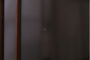 アンティーク家具　イギリスアンティーク　マホガニー材　上品な雰囲気が魅力的なガラス扉のキャビネット(サイドボード、収納棚、飾り棚)