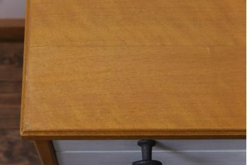 ヴィンテージ家具　イギリスビンテージ　北欧テイストなペイントサイドボード(収納棚)