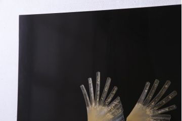 中古　日展作家　加治武　大作　輪島塗　沈金　翔鶴図　透けるような繊細さと躍動感が目を引く衝立(つい立て)