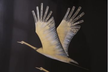 中古　日展作家　加治武　大作　輪島塗　沈金　翔鶴図　透けるような繊細さと躍動感が目を引く衝立(つい立て)