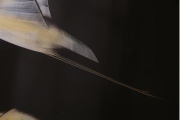 中古　日展作家　加治武　大作　輪島塗　沈金　翔鶴図　透けるような繊細さと躍動感が目を引く衝立(つい立て)