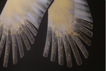 中古　日展作家　加治武　大作　輪島塗　沈金　翔鶴図　透けるような繊細さと躍動感が目を引く衝立(つい立て)