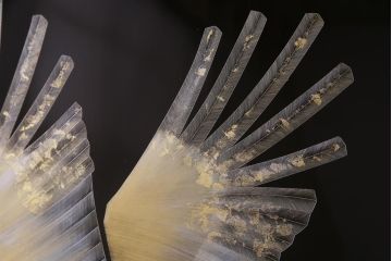 中古　日展作家　加治武　大作　輪島塗　沈金　翔鶴図　透けるような繊細さと躍動感が目を引く衝立(つい立て)