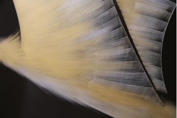 中古　日展作家　加治武　大作　輪島塗　沈金　翔鶴図　透けるような繊細さと躍動感が目を引く衝立(つい立て)