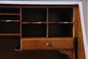 ペイント家具　イギリスアンティーク　淡い色合いがシックなビューローブックケース(ライティングビューロー、本箱、ワークデスク、在宅ワーク、在宅用)