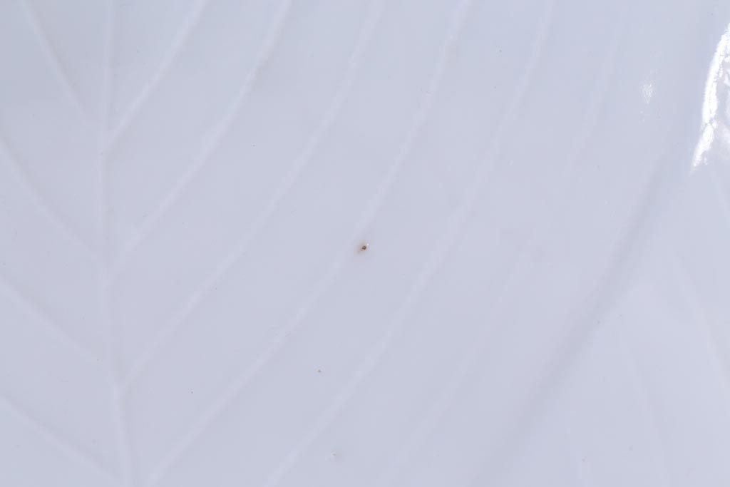 古民具・骨董　幕末明治期　櫛高台　葉文変形皿(中皿、和食器、鍋島焼)2枚セット