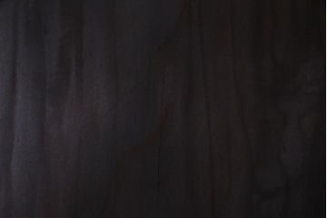 明治期　杉材　漆塗り　幅広サイズで存在感抜群の帯戸2枚セット(板戸)(2)
