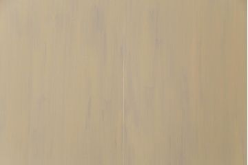 ペイント家具　温かなペイントカラーが優しげな板戸3枚セット(引き戸、建具)