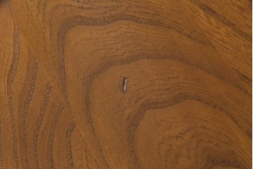 ヴィンテージ家具　イギリスビンテージ　ERCOL(アーコール)　明るい色味のコーヒーテーブル(ラウンドテーブル)