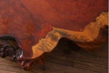 アンティーク家具　昭和中期　カリン材(花梨材)　鳥眼杢　縁の木肌が迫力を放つ座卓(ローテーブル)