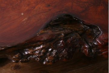 アンティーク家具　昭和中期　カリン材(花梨材)　鳥眼杢　縁の木肌が迫力を放つ座卓(ローテーブル)