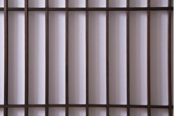 和製アンティーク　杉材　すっきりとした格子が美しい額入り障子戸4枚セット(引き戸、建具)